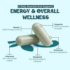 OLLOVITA Plant Based Multivitamin – 60+ Wholefood Ingredients with 24 Essential Vitamins & Minerals | Stamina, Energy, Bone & Joint Support | For Men & Women – 60 Veg Capsules