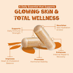 OLLOVITA Plant Based Sea Buckthorn Oil Capsules (1000mg) – Omega 3-6-7-9 | Immunity, Heart, Brain, Joint & Skin Health | 100% Vegan Whole-body Wellness – 60 Capsules