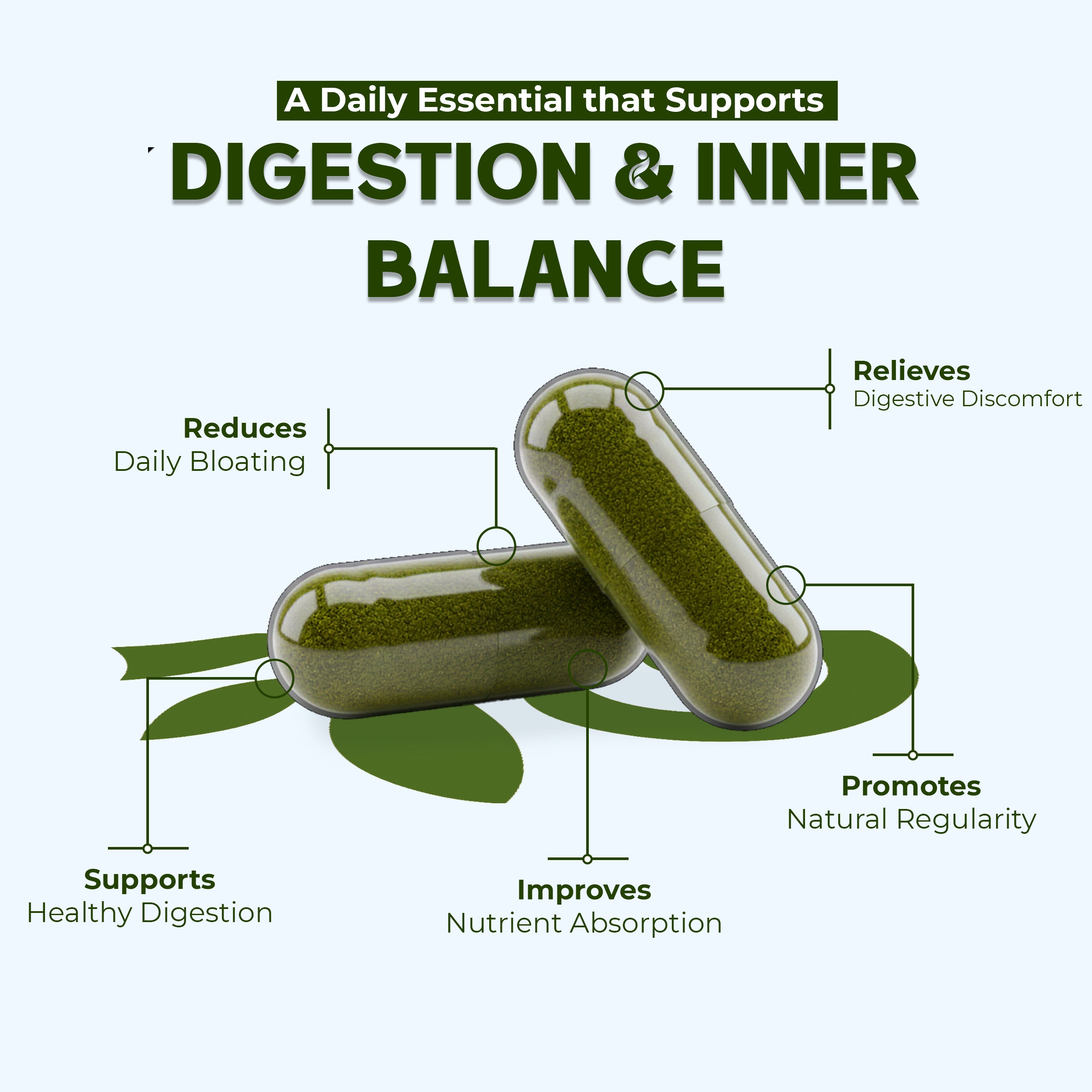 OLLOVITA Plant-Based Digestive Support Capsules – 1000mg Veg Supplement for Healthy Digestion, Gut Balance & Daily Wellness | 60 Veg Capsules