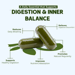 OLLOVITA Plant-Based Digestive Support Capsules – 1000mg Veg Supplement for Healthy Digestion, Gut Balance & Daily Wellness | 60 Veg Capsules