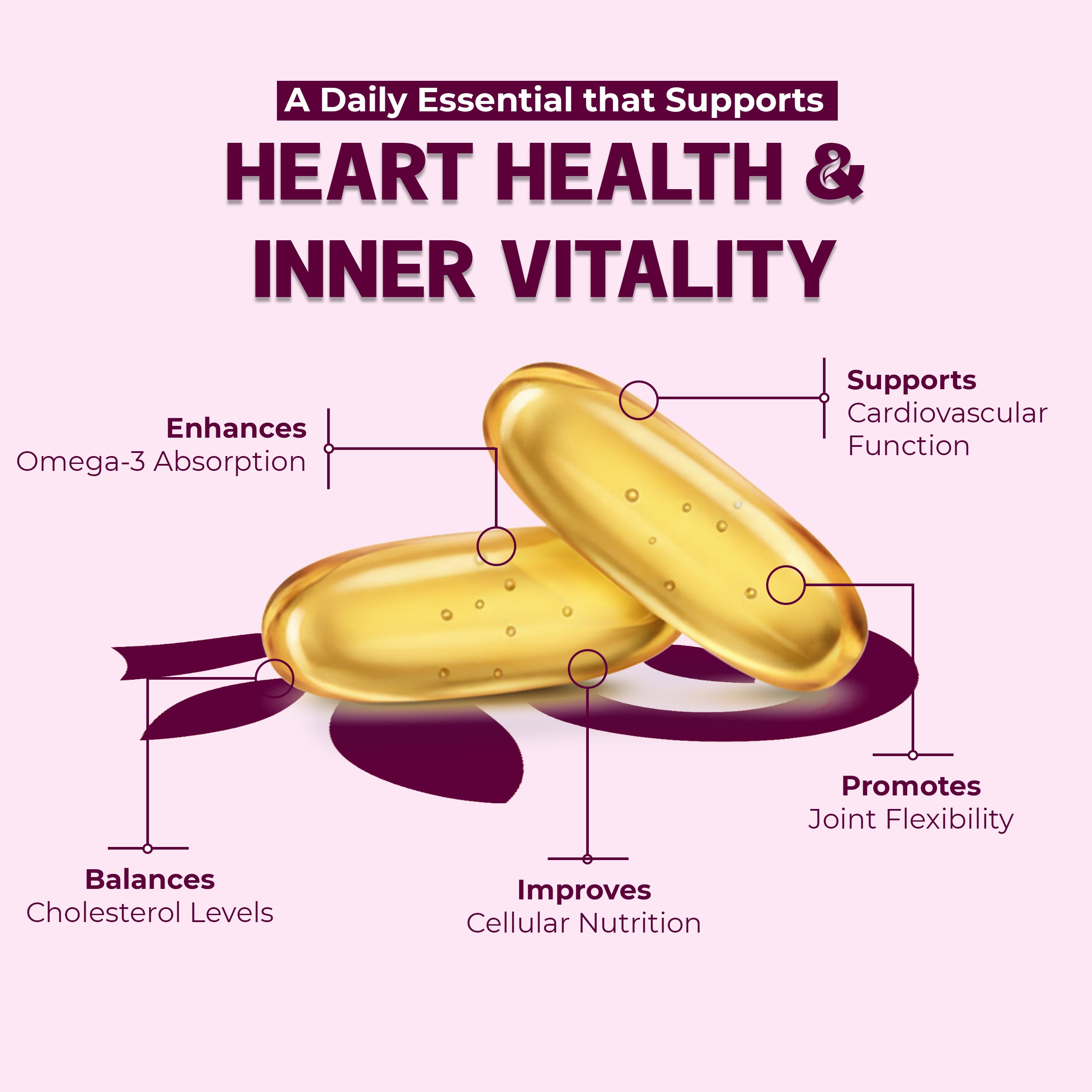 OLLOVITA Omega-3 Fish Oil – 1000mg Softgels for Heart Health, Cholesterol Support & Vitality | EPA & DHA | Cardiovascular Wellness – 60 Softgel Capsules