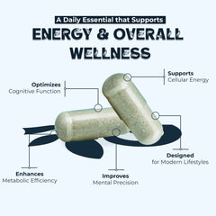 Plant-Based Vitamin B12 1000mg Veg Capsules – Energy, Nerve & Metabolism Support | 60 Capsules (Methylcobalamin)