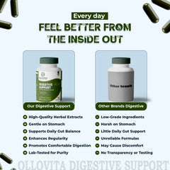 OLLOVITA Plant-Based Digestive Support Capsules – 1000mg Veg Supplement for Healthy Digestion, Gut Balance & Daily Wellness | 60 Veg Capsules